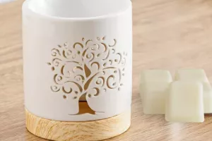 brule parfum arbre de vie